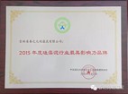 春之元硅藻泥獲得“2015年硅藻泥行業(yè)最有影響力品牌”榮譽(yù)