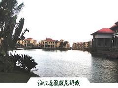 儋州自然景觀石哪家設(shè)計好 海南專業(yè)的海南自然景觀石供應(yīng)商