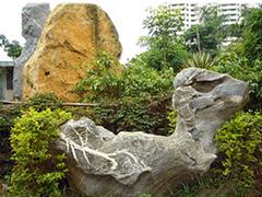 保亭園林景觀質(zhì)量哪家好：海南優(yōu)惠的海南園林景觀批銷