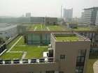屋面防水卷材價格：山東哪里有供應口碑好的銷售耐根穿刺防水卷材