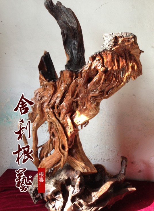 河北哪里有賣太行崖柏【舍利根藝】類型齊全