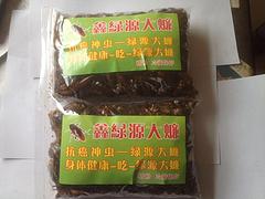 濟(jì)南蟑螂活體——信譽(yù)好的美洲大蠊提供商，當(dāng)屬鑫綠源特種養(yǎng)殖