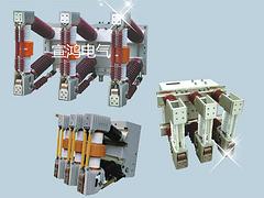 供應(yīng)ZN12-12系列戶內(nèi)高壓真空斷路器|專業(yè)的ZN12-12系列戶內(nèi)高壓真空斷路器溫州口碑好的公司供應(yīng)