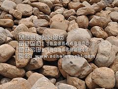 價(jià)格合理的河卵石——山東專業(yè)的河卵石供應(yīng)商