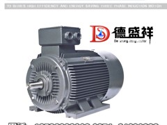 紡織電動機生產廠家——鄭州德盛祥_聲譽好的{gx}電動機公司