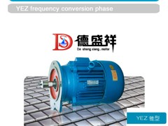 鄭州德盛祥提供專業(yè)的錐形轉(zhuǎn)子電動機_錐形電動機廠家