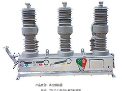 ZW32-12户外高压真空断路器价格行情_想买专业的ZW32-12户外高压真空断路器就来飞控电气科技