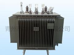 電力變壓器出售：供應(yīng)華電電氣專業(yè)的電力變壓器