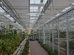 山東可靠的生態餐廳工程建設，山東生態餐廳工程建設