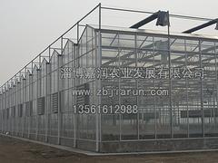 高质量的温室大棚建设就在嘉润农业，聊城温室大棚建设