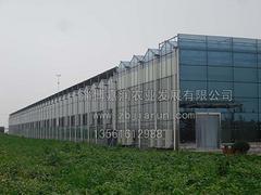 智能溫室工程承建：山東優(yōu)質(zhì)的智能溫室