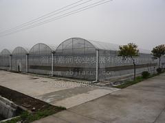 青島溫室大棚建設(shè)|口碑好的溫室大棚建設(shè)
