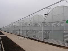 效果好的連棟溫室工程推薦：菏澤連棟溫室工程建造