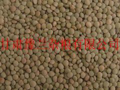 嘉峪關苦蕎面批發(fā)|蘭州超值的苦蕎粉批發(fā)