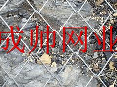 衡水地區(qū)專業(yè)生產(chǎn)合格的鋼絲繩網(wǎng)，供應鋼絲繩網(wǎng)供貨商