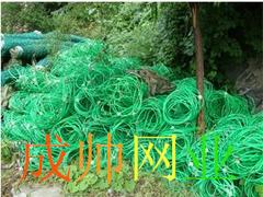 裹塑邊坡防護(hù)網(wǎng)口碑好_河北價(jià)格合理的裹塑邊坡防護(hù)網(wǎng)哪里有賣(mài)