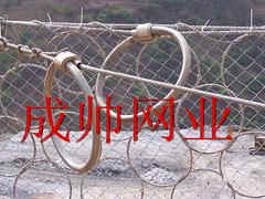 成帥為您供應(yīng)優(yōu)質(zhì)鋼絲繩網(wǎng)鋼材  ——鶴崗鋼絲繩網(wǎng)特性