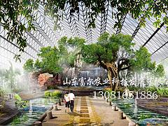 蔬菜溫室大棚建造