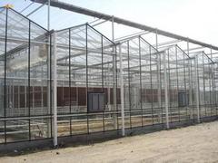 高性價(jià)新型智能溫室推薦：承建新型智能溫室