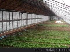 熱銷電地暖品質(zhì)有保障 山西省電地暖