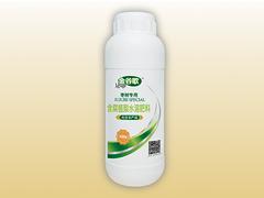 供應(yīng)濰坊xjb高的金穗粒粒飽——安徽金穗粒粒飽