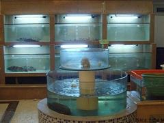 買優(yōu)良的海鮮魚缸，就到水之戀水族品，常州亞克力魚缸