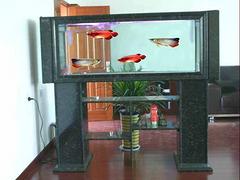 蘇州上等生態(tài)魚缸【供銷】：大型生態(tài)魚缸訂作