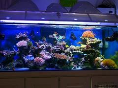 蘇州上等生態(tài)魚缸【供銷】：大型生態(tài)魚缸訂作