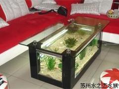 亞歷克茶幾魚缸定制：專業的茶幾魚缸，水之戀水族品供應