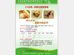 东营蛋鸡育雏预混料，好的蛋鸡育雏预混料金龙饲料供应