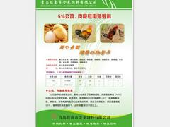 青岛蛋鸡育雏预混料—山东蛋鸡育雏预混料——@【青岛金龙饲料】