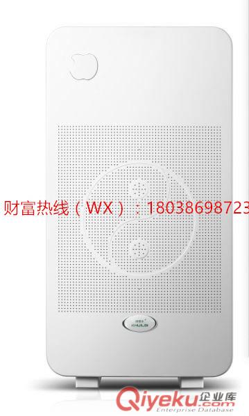 批發多功能康體生態儀 果蔬解毒機霧化儀 評點會銷禮品空氣凈化器原始圖片2