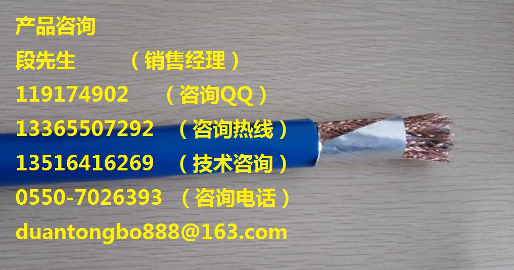 ia-DJYPVP本安型計算機電纜
