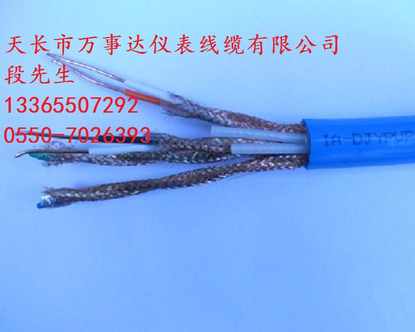 ia-DJYPVP本安型計算機電纜