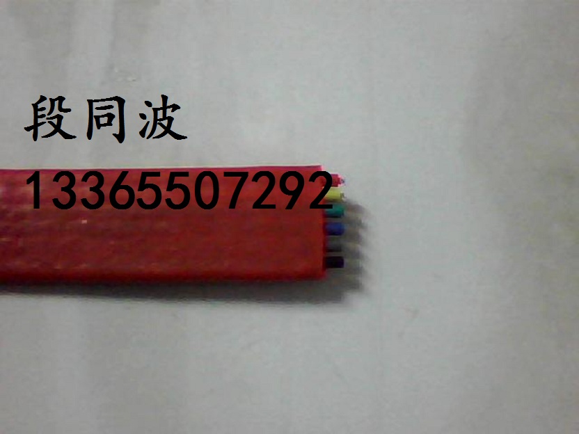 FGPR高溫軟電纜原始圖片3