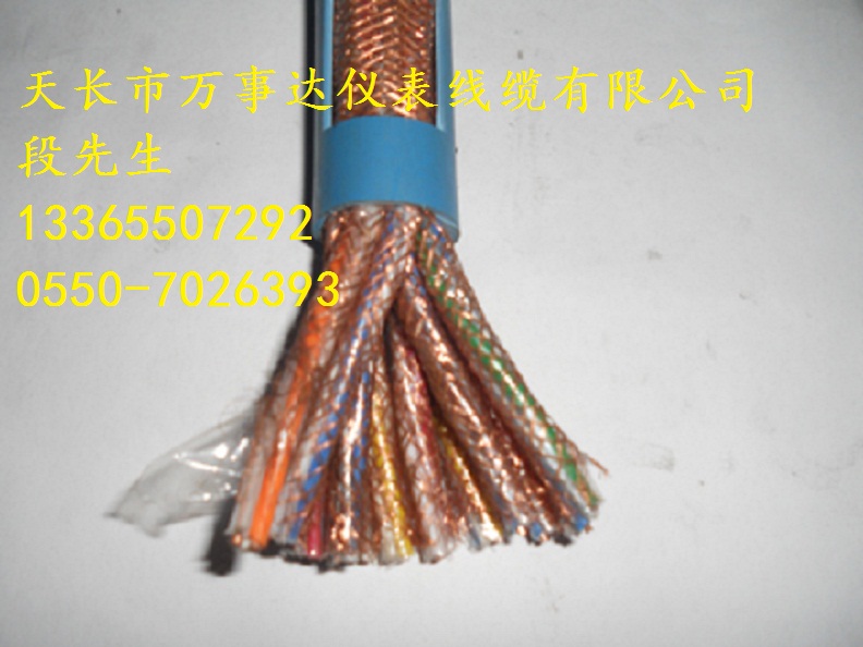 ZR-IA-DJYVP阻燃本安型計(jì)算機(jī)屏蔽電纜