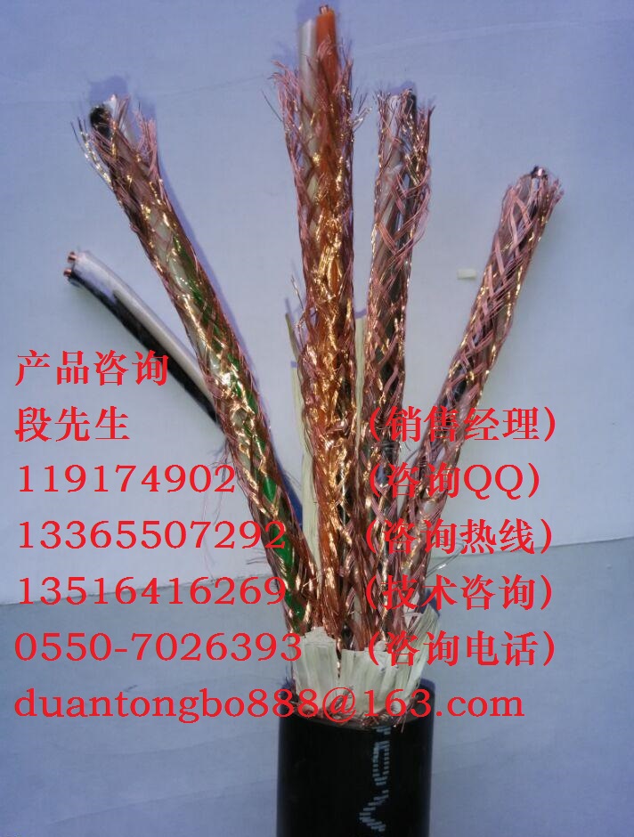 DJF4F46P2-3R銅帶總屏耐高溫防腐計算機電纜