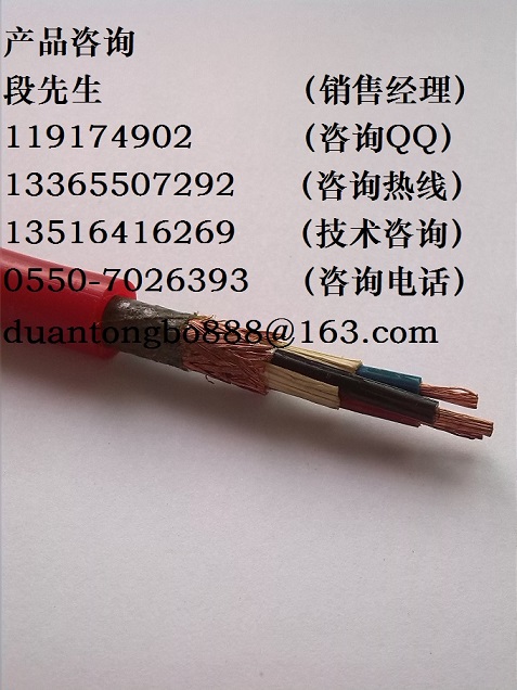 ZR-DJFP1GP1R阻燃鍍錫絲分屏總屏耐高溫計算機電纜