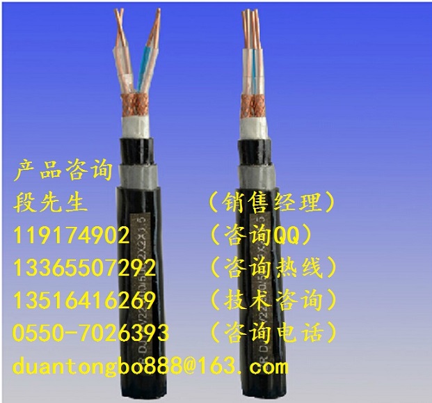 現貨供應阻燃鎧裝計算機電纜ZR-DJVVP22-3*2*1.5