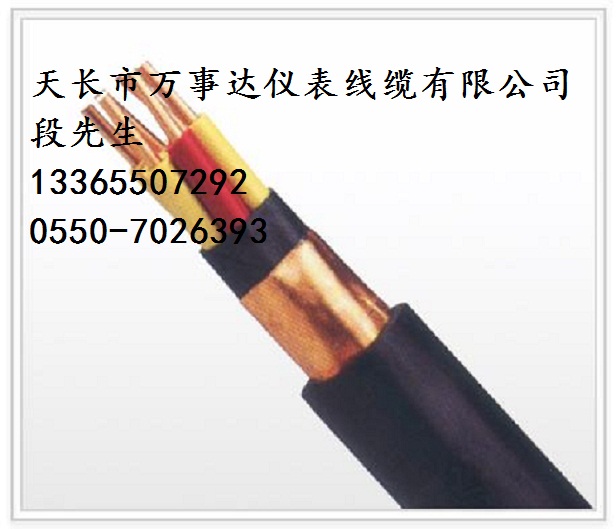 廠家直銷屏蔽儀表控制軟電纜KJYVP2R-6*1.0原始圖片2