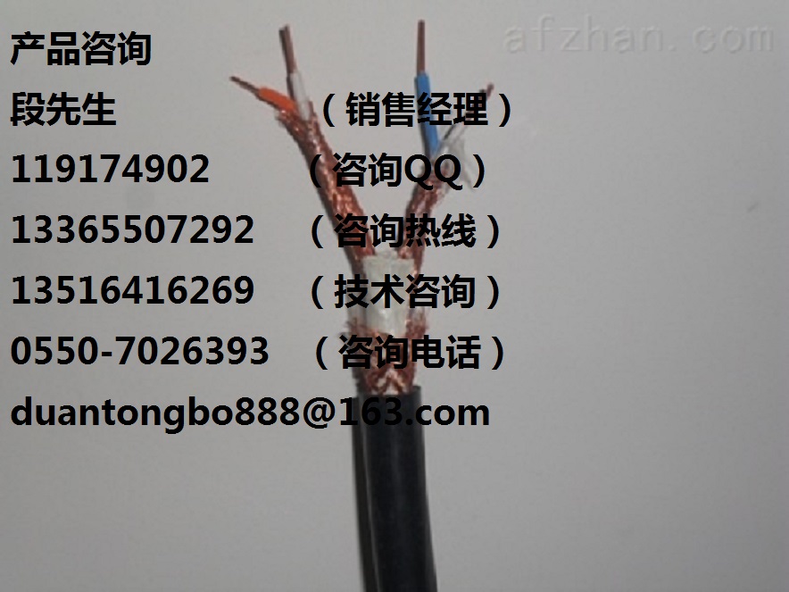 耐火計算機電纜NH-DJYPVR-2*2*1.0生產廠家