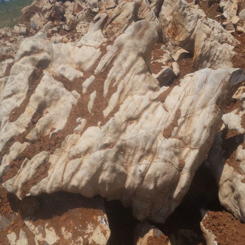 東營龜紋石，東營千層石，東營水紋石，東營假山石。假山安裝湖岸施工。