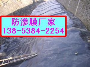 供應(yīng)鞍山【優(yōu)質(zhì)排水板】廠(chǎng)家全網(wǎng){zd1}價(jià)