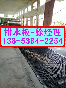 【車庫頂板屋面花園種植防根穿刺PE板】