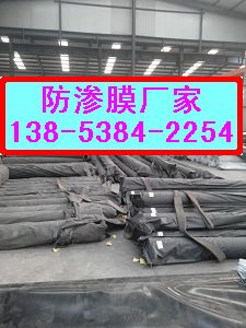 溫州土工膜廠家【13853842254】