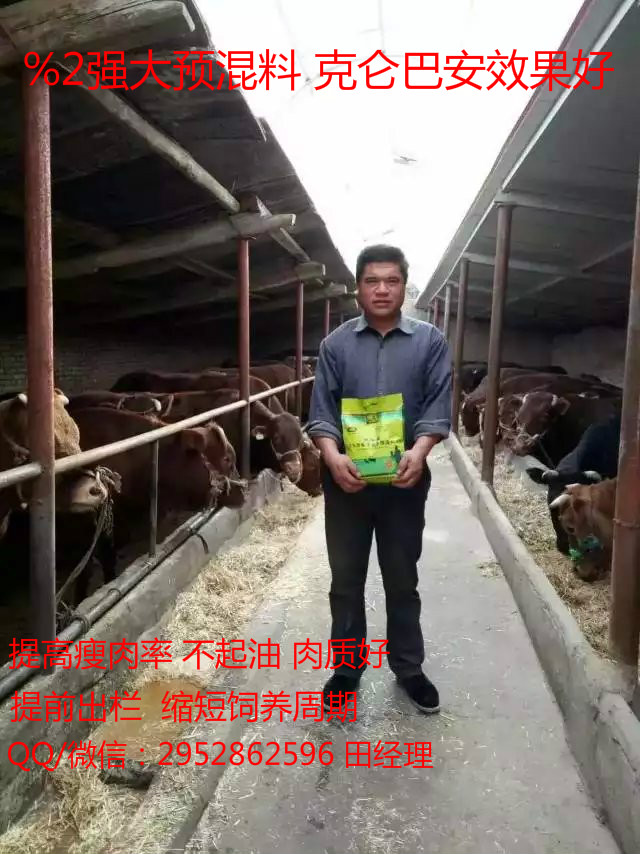 肉牛催肥飼料配方 催肥增重 催肥促生長(zhǎng)