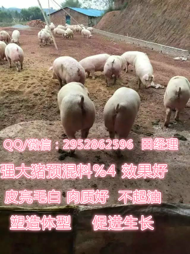  強(qiáng)化大豬料 %4預(yù)混料 日長(zhǎng)三斤不是夢(mèng)