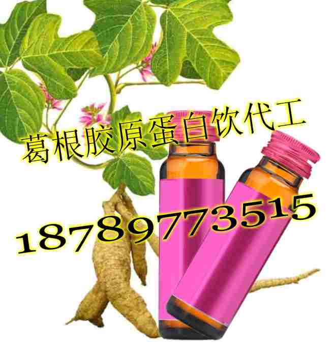 天津提取葛根灌裝膠原蛋白葛根固體飲料OEM