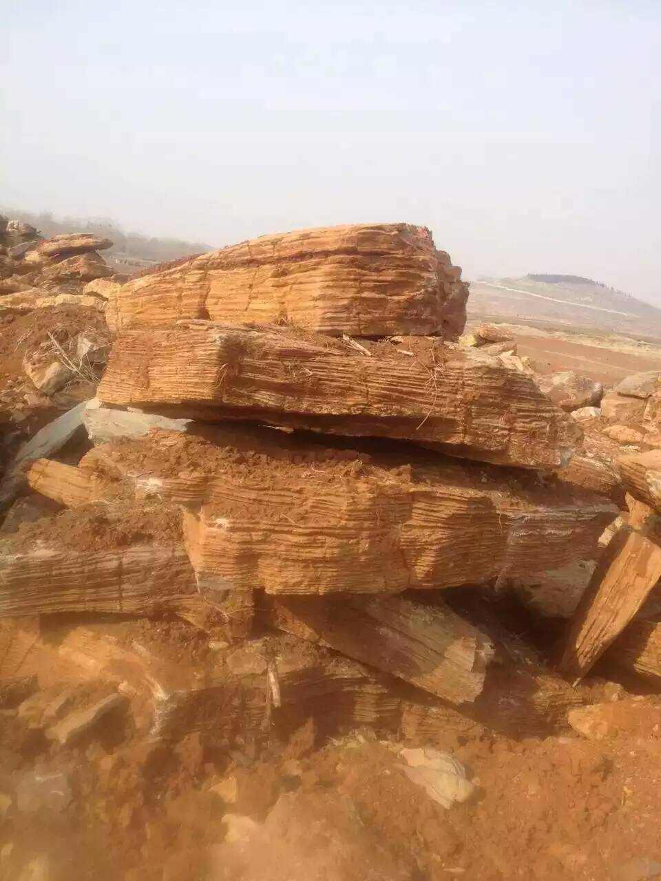 山東龜紋石，千層石，水紋石園林石直銷處原始圖片3