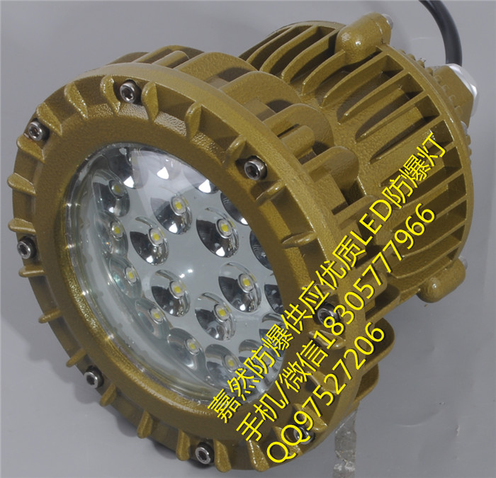 24V20WLED防爆燈,南京led防爆壁燈30w原始圖片3